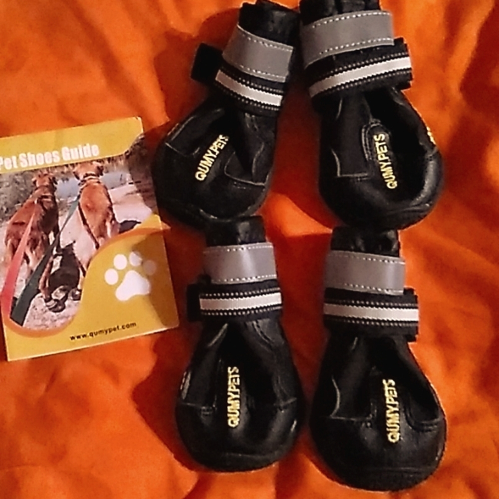 Doggie shoes